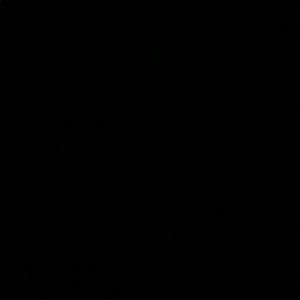 Meet your Posher, Anastasia